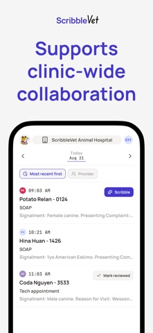 ScribbleVet – the AI Scribe Screenshot 6 of 6