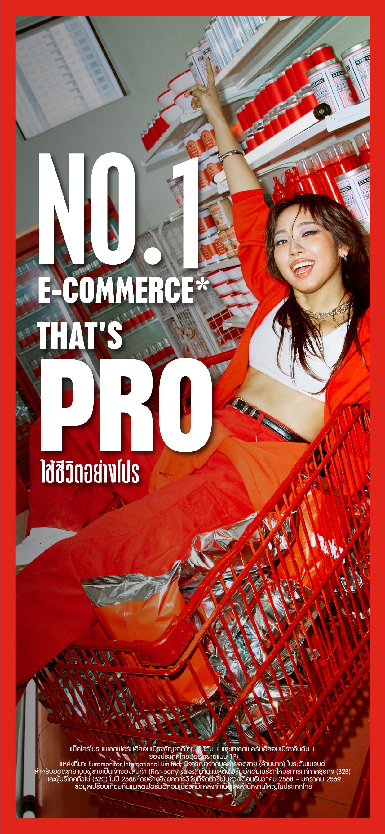Makro PRO