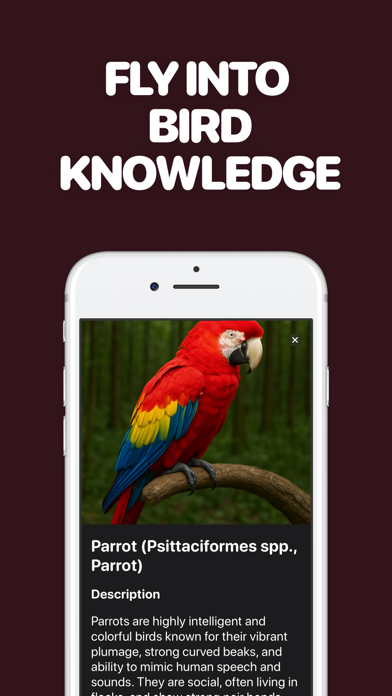 Identify Birds with AI Screenshot