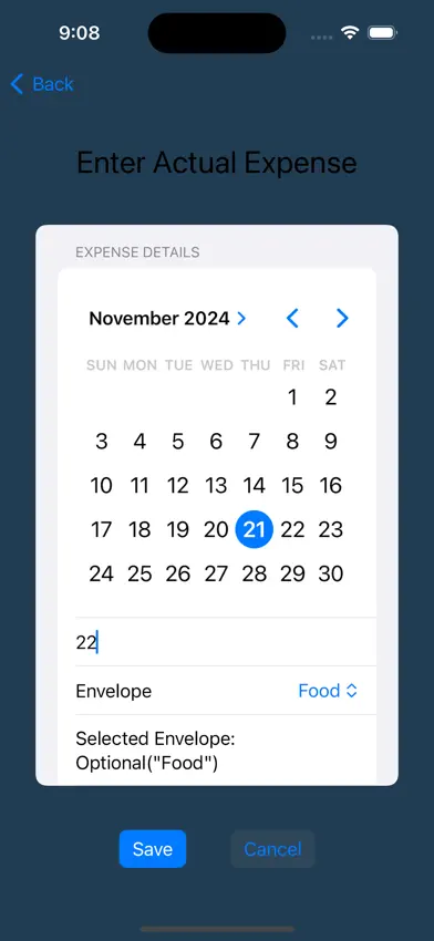 simpleDorisEnvelopeBudget screenshot 4