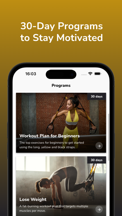 Suspension Training Exercises Screenshot