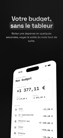 Caisso Budget Manuel screenshot