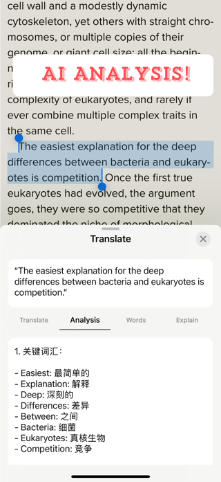 Smart Translate Screenshot 4 of 4