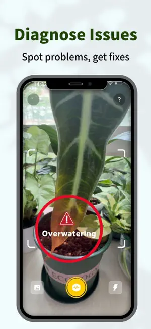 PlantFun: Plant Identifier App screenshot 1