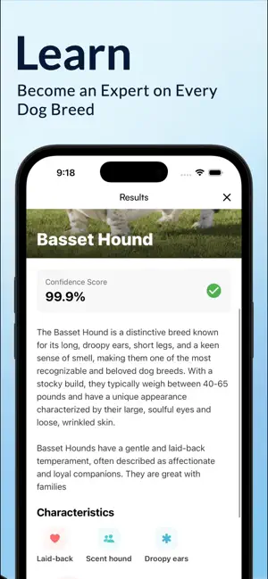 Dog Detective AI: Breed ID screenshot 4