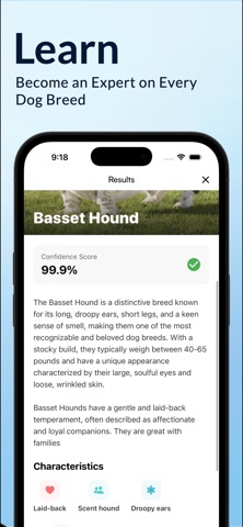 Dog Detective AI: Breed ID screenshot