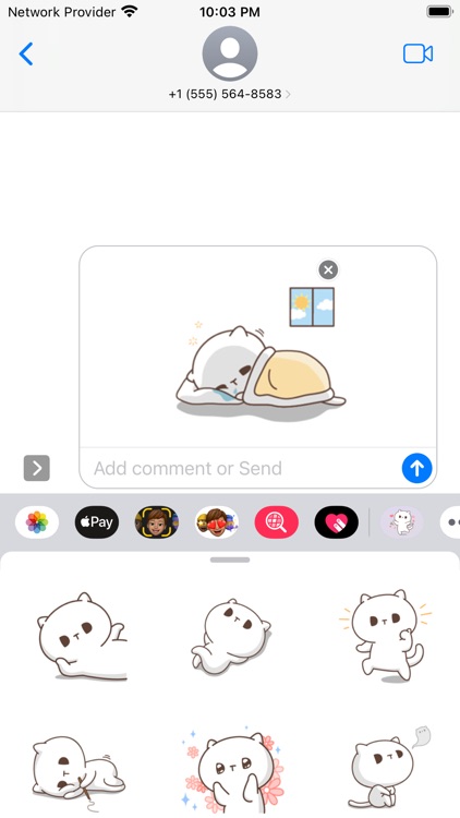 Kitty Stickers - WAStickers