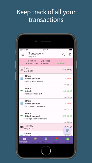 Money Manager Income & Expense Screenshot