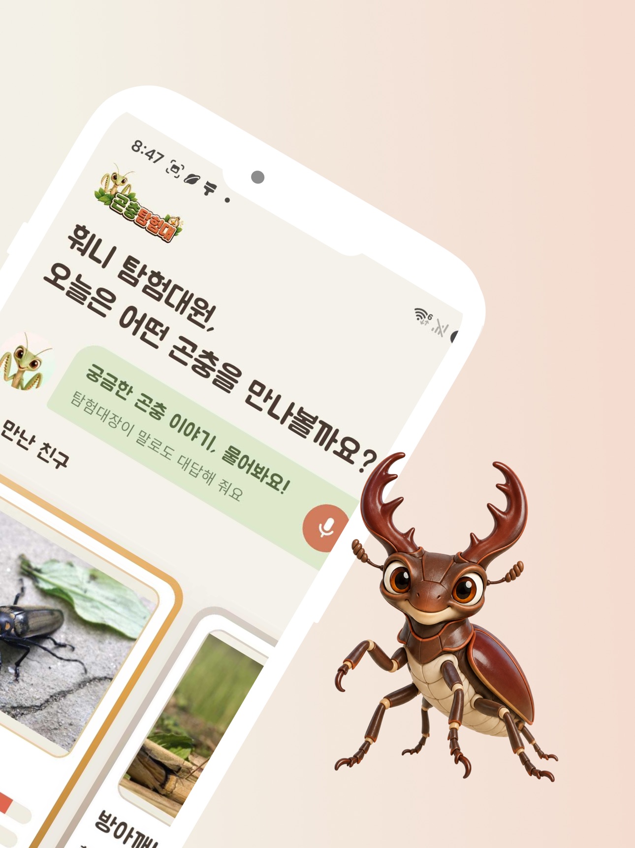 Screenshot 8 of 곤충탐험대: AI 곤충 도감과 카메라 배틀
