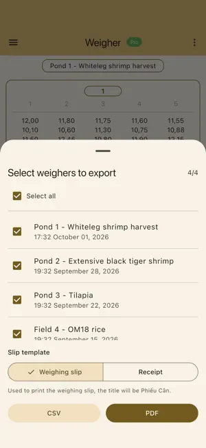 Weigher - Shrimp, Fish, Rice screenshot 4