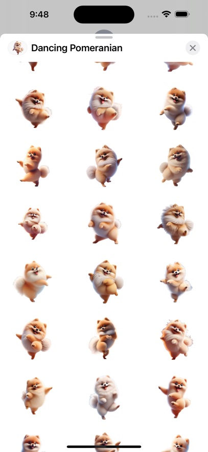 Dancing Pomeranian