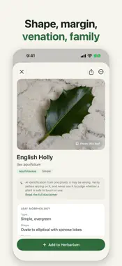 Leaf Identifier screenshot 6