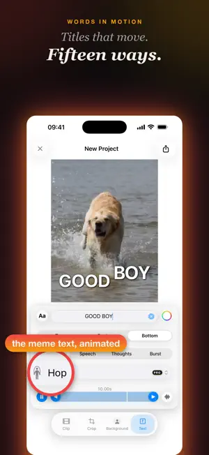 iamb: Short Video & GIF Maker screenshot 4