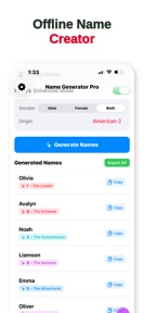 Name Generator Pro 2025 screenshot