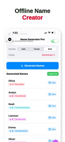 Name Generator Pro 2025 screenshot