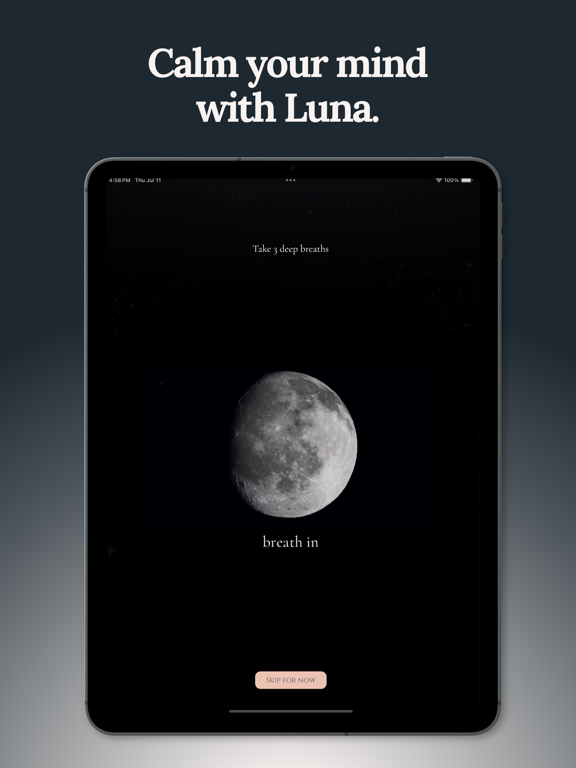 Luna Focus: Reflect & Grow iPad screenshot 8 - Lifestyle app