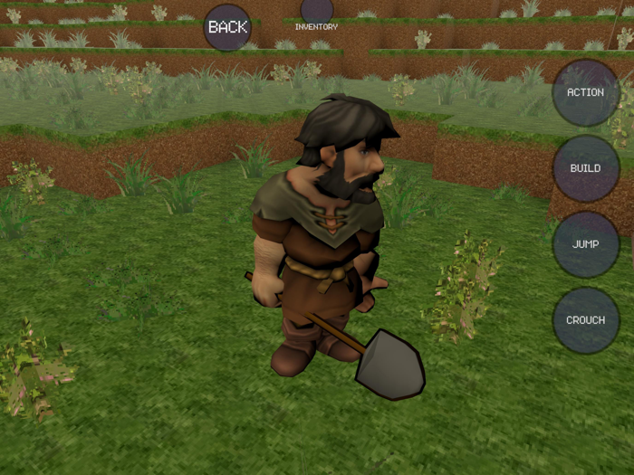 build your voxel World