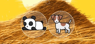 Animal Rank Screenshot 2 of 5