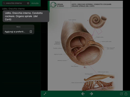 Atlante di Anatomia-Sezioniのおすすめ画像4