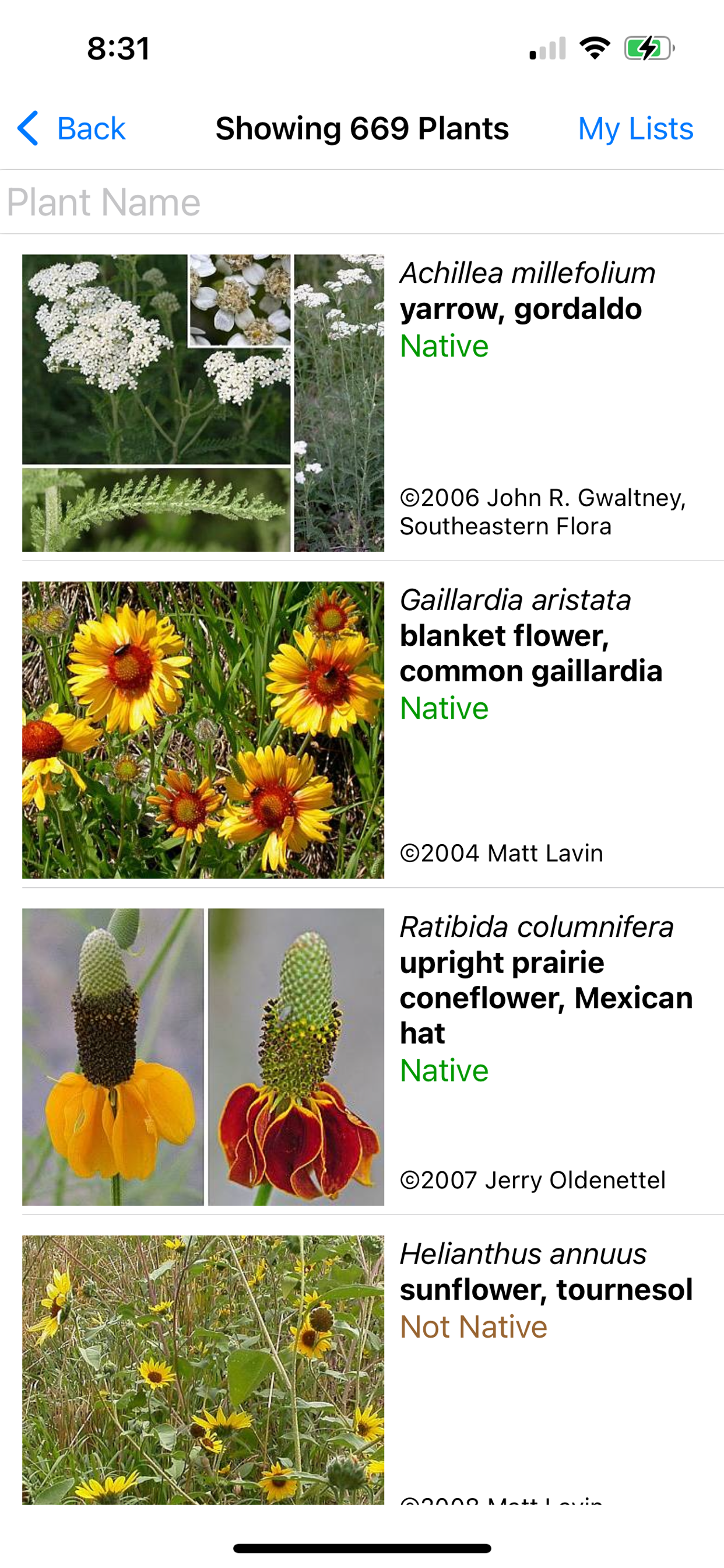Saskatchewan Wildflowers