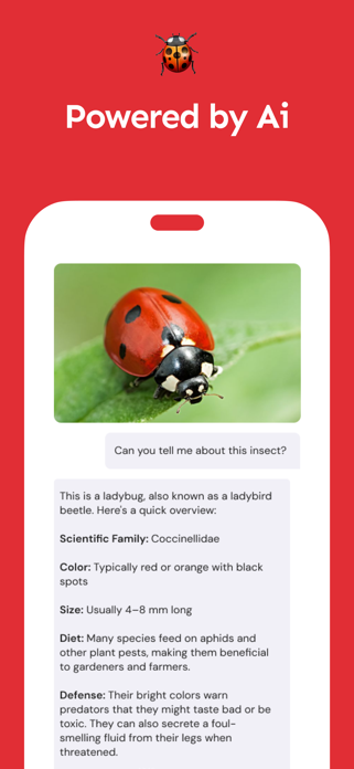 Insect Identifier AI Scan Screenshot 3 of 3