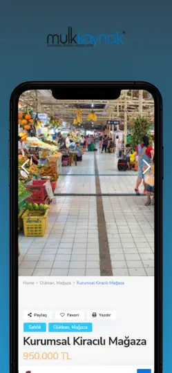 Screenshot von Mulkkaynak.com auf dem iPhone 3