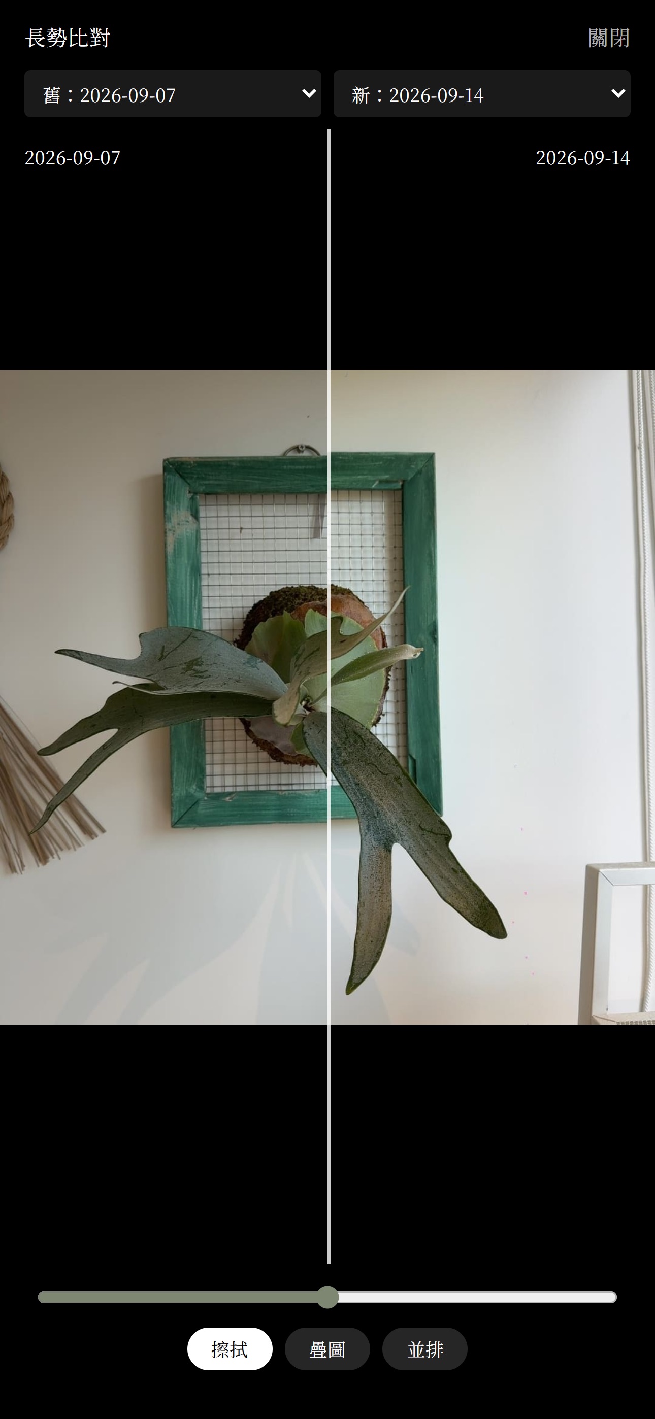 Screenshot 5 of 一隅有植