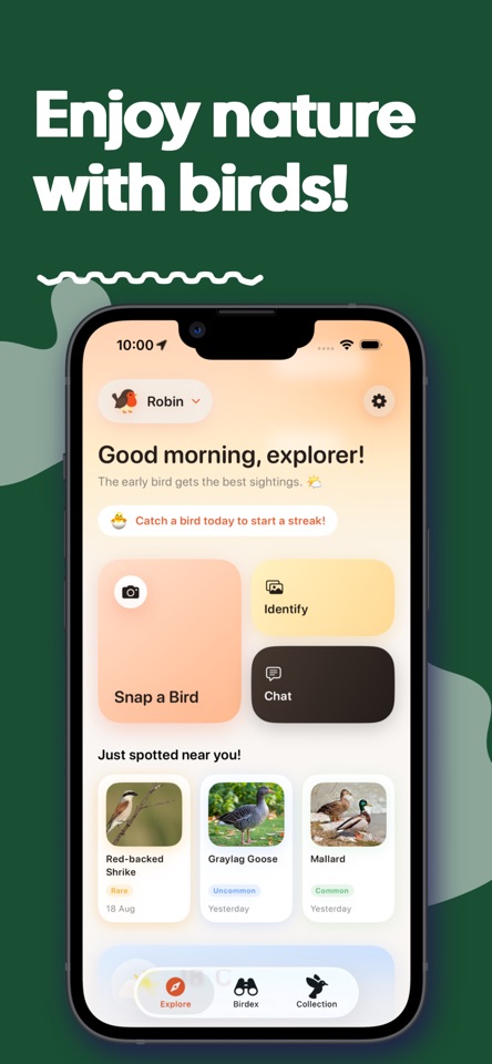 Birdwatching with Robin screenshot 1