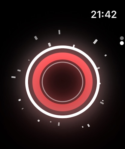 Apple Watch screenshot
