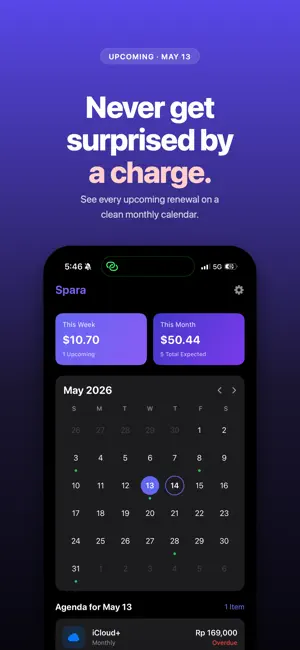 Spara - Subscription Tracker screenshot 4