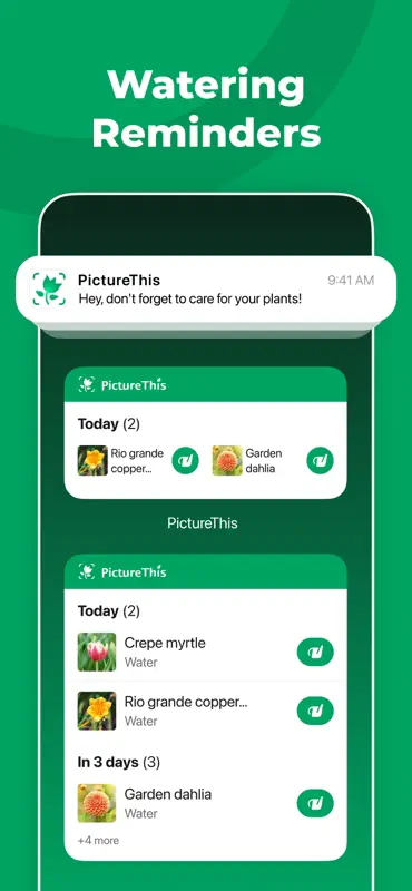PictureThis - Plant Identifier screenshot 6 of 10