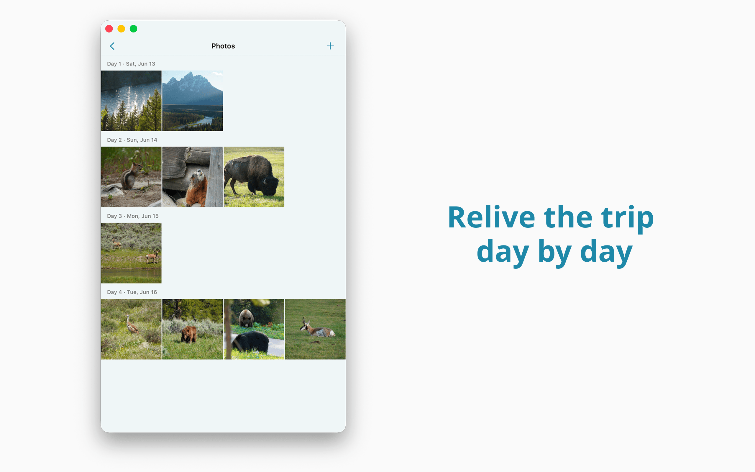 TripDays: Trip Planner screenshot 12