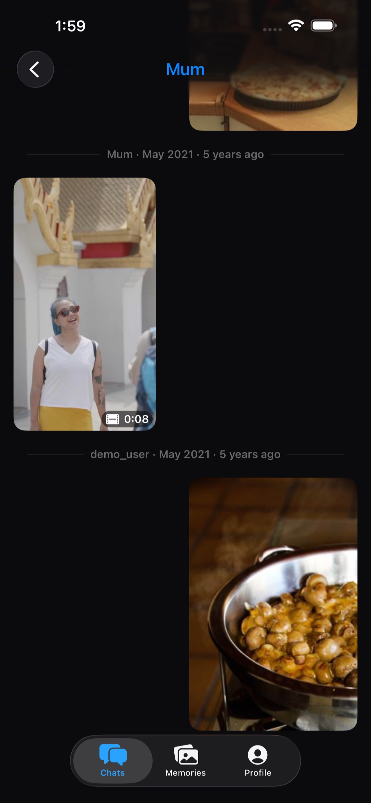 Screenshot 2 of Memory Vault: Chats & Memories