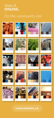 Color Catchers - Camera Screenshot 5 of 5