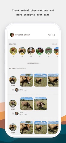 Yearbook - Pasture Zen Screenshot 2 of 5
