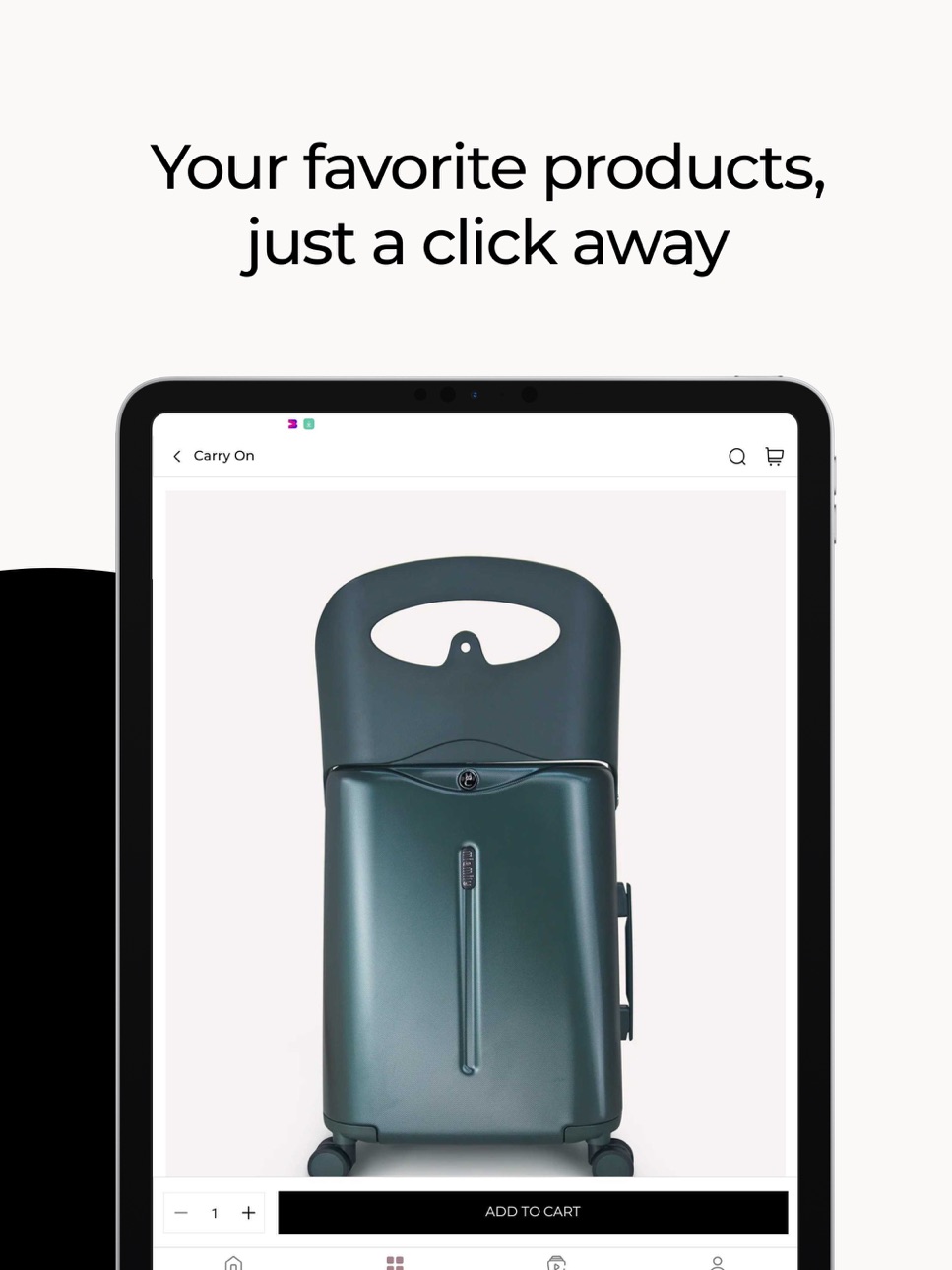 iPad screenshot