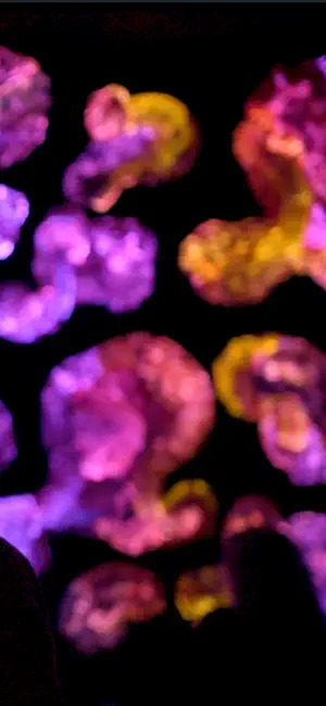 Andetag screenshot 3