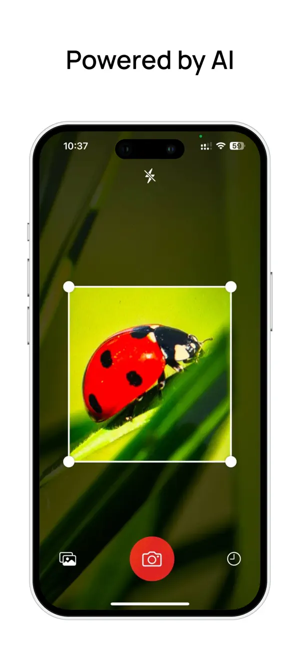 #3. Insect Identifier: Bug Scanner (iOS) Ved: Ihor Bilohubov