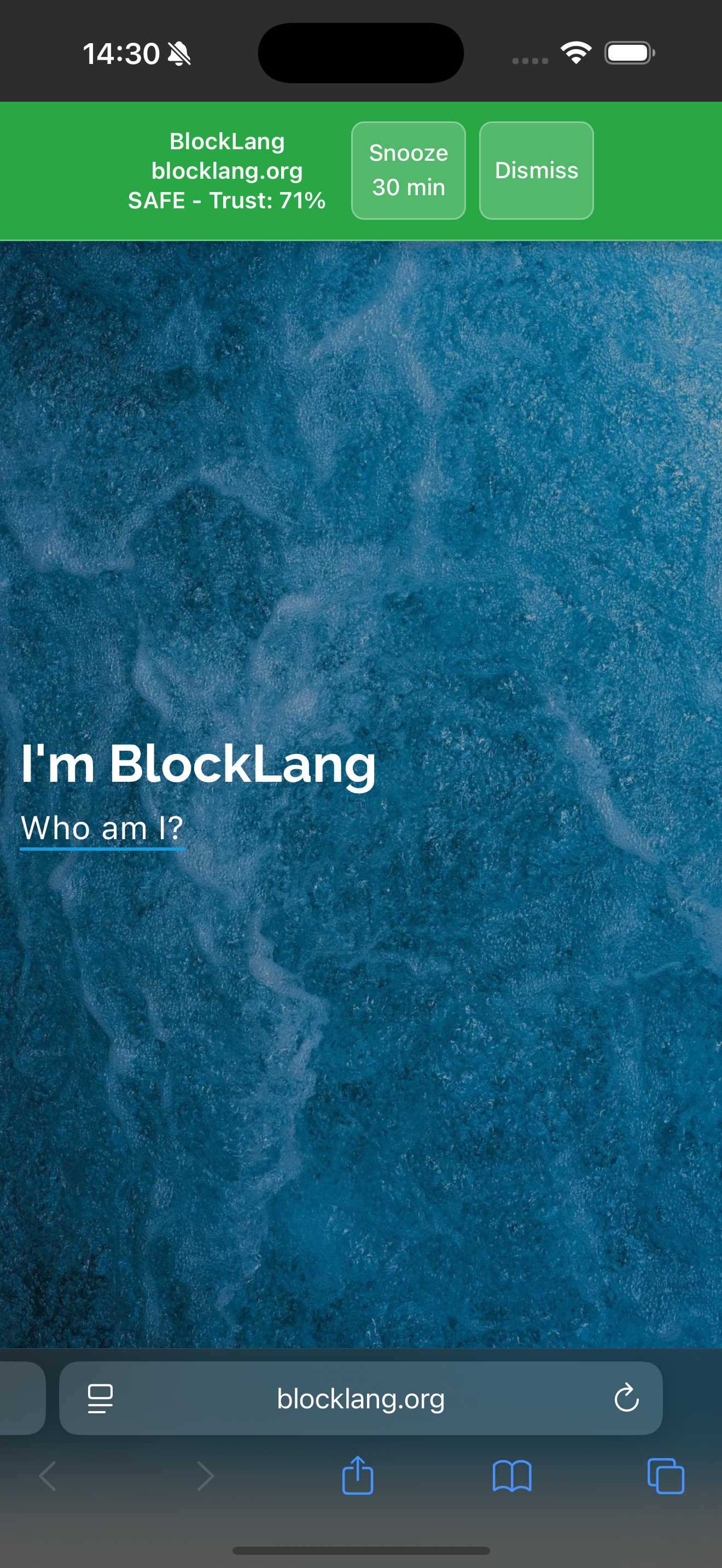 BlockLang screenshot 10