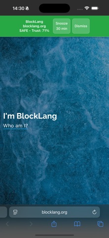BlockLang screenshot