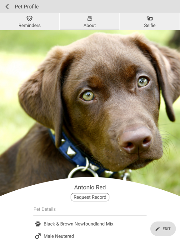 Asheboro Animal Hospital iPad screenshot