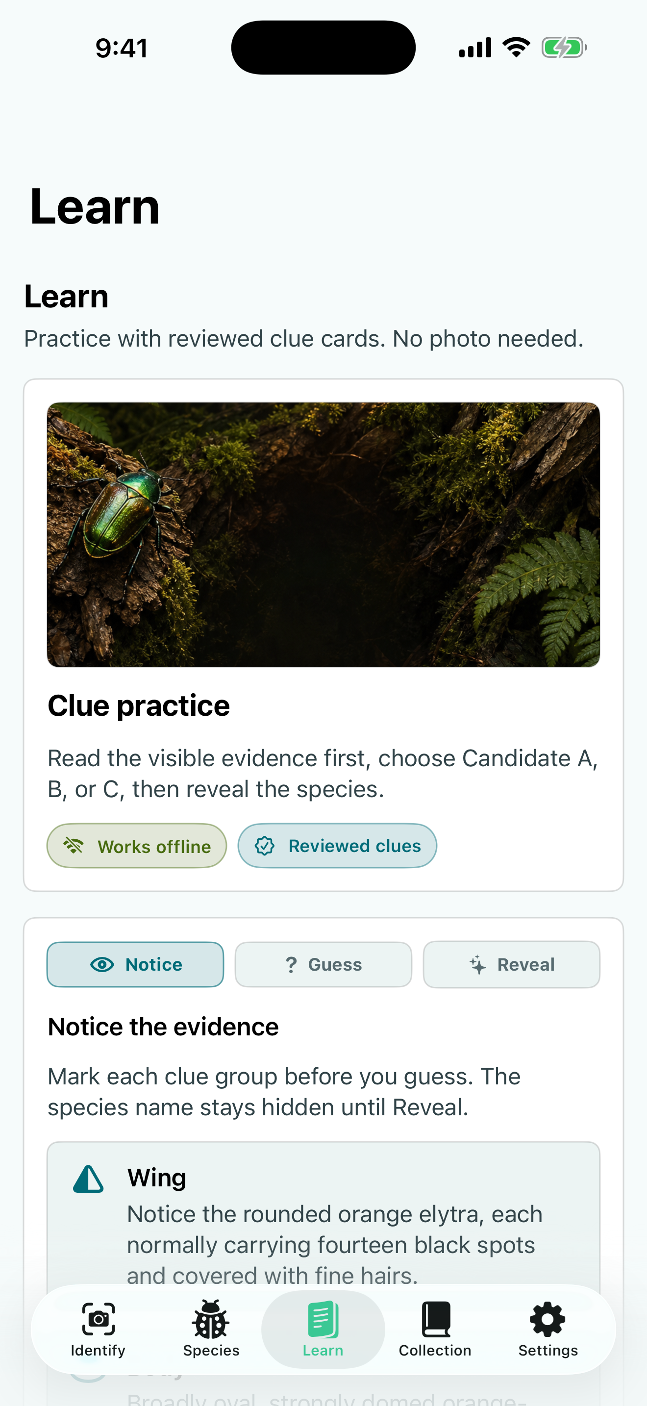 Insect Discover: Bug ID screenshot 3