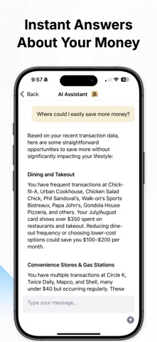 CashChat AI iPhone screenshot