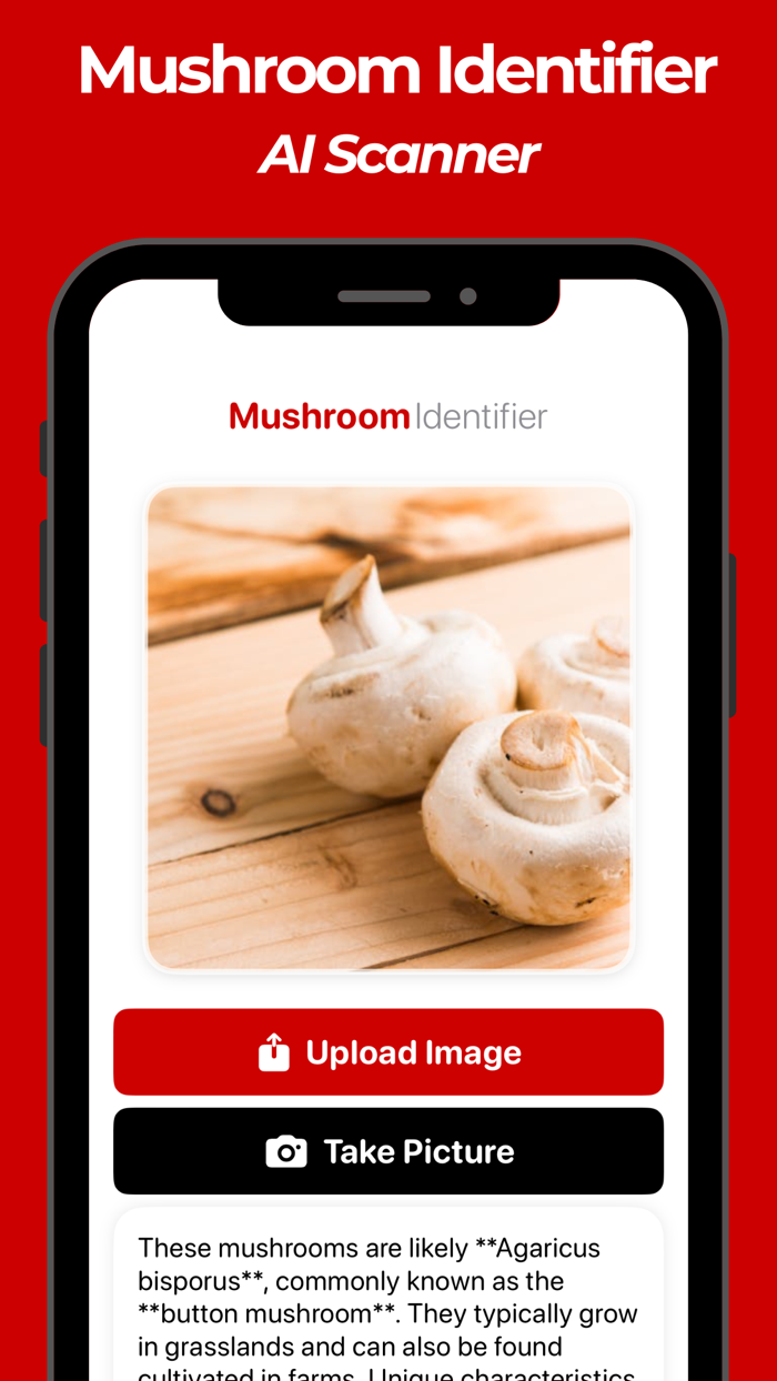 Mushroom Identifier AI Id