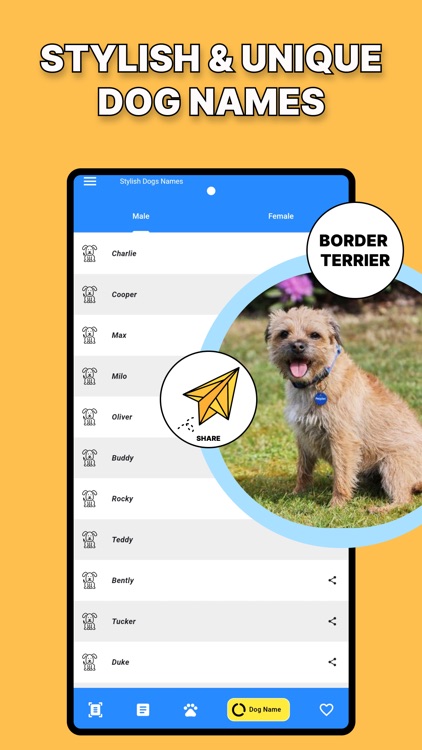 Dog Identification-DogScanner screenshot-7