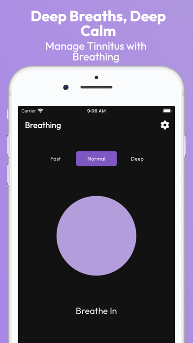 Tinnitus Sound Therapy RngAway Screenshot