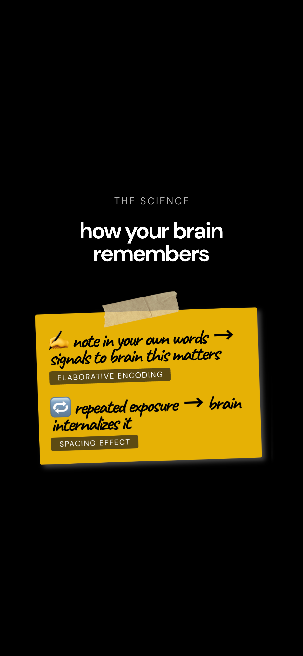 Spongee: Learn While Scrolling screenshot 6