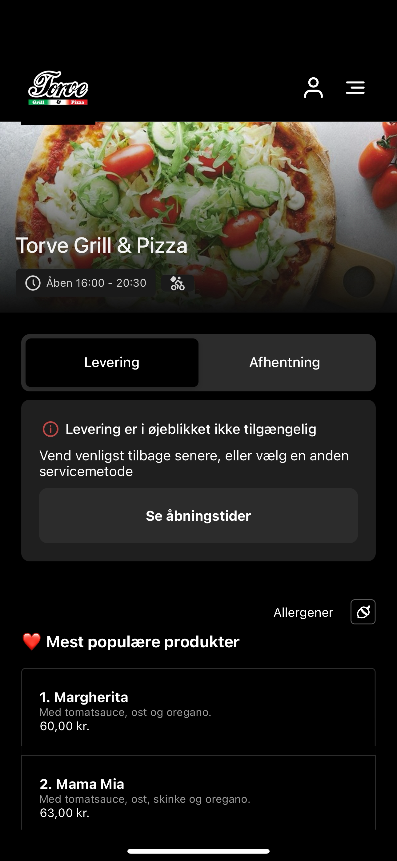 Torve Grill & Pizza