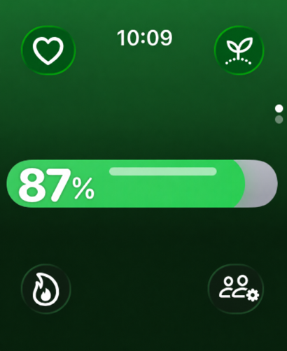 IRL Health Bar screenshot 7