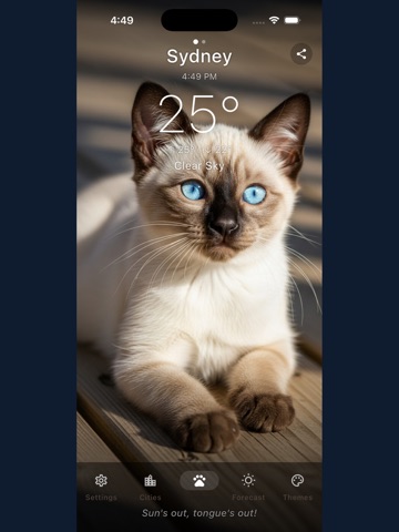 Whisker Weather iPad screenshot